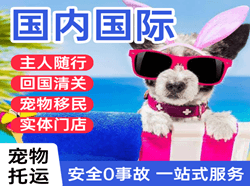 通化空运地址国际宠物托运 【国